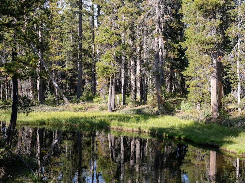 Camper van trip to Big Bear & San Jacinto, Southern California