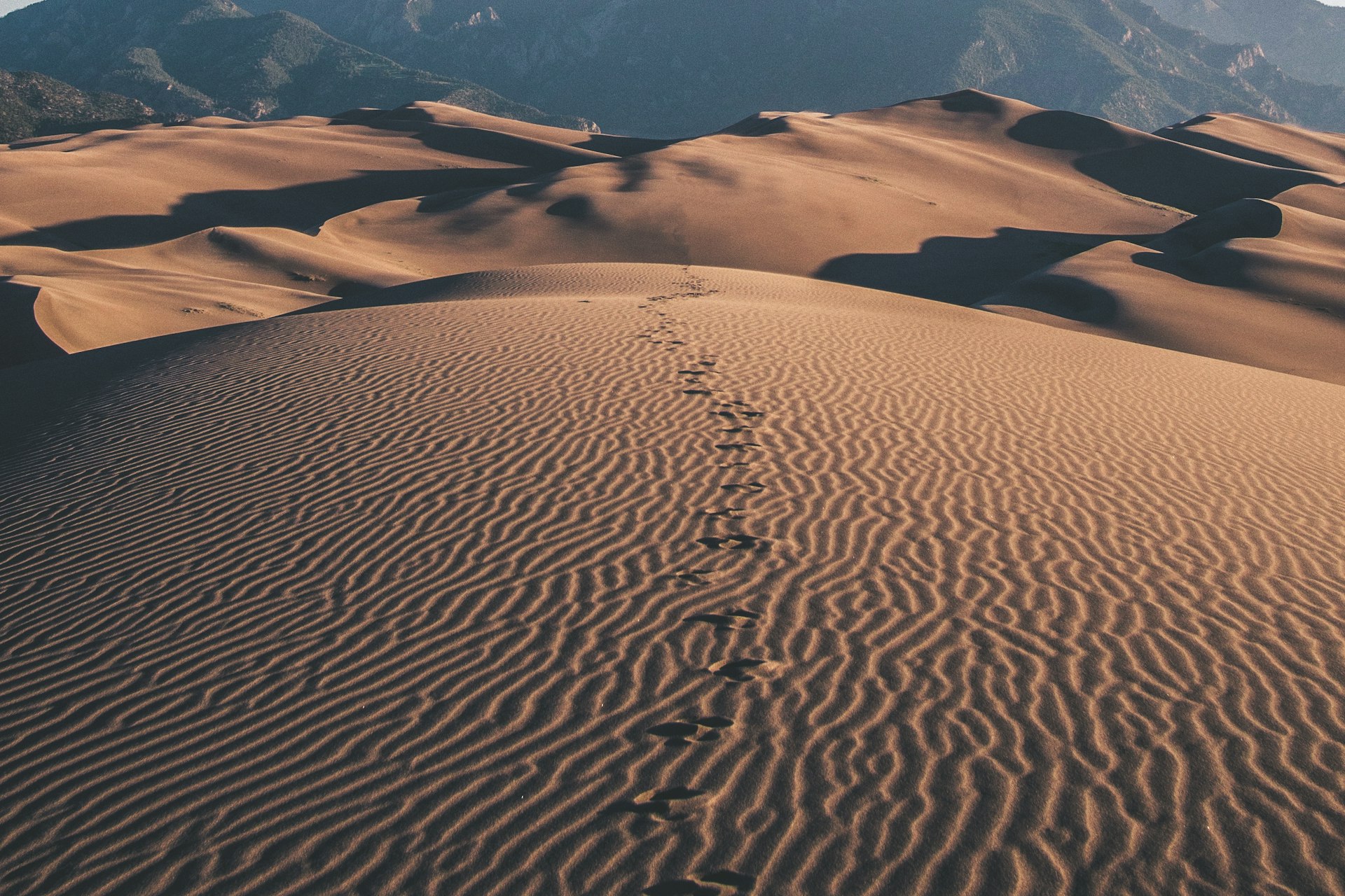Camper van parked near the Kelso Dunes in Mojave National Preserve at sunset